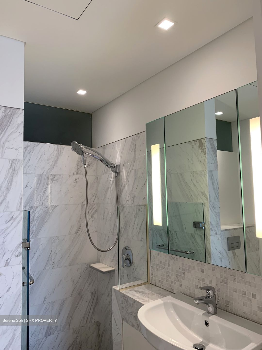 8 Nassim Hill (D10), Apartment #506785081